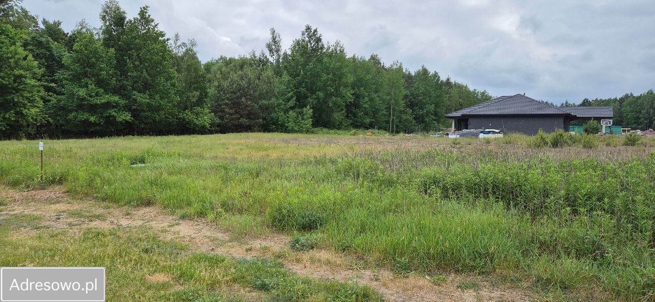 Działka budowlana Wilczeniec Fabiański. Zdjęcie 4