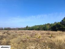 Działka rolno-budowlana Olszewnica Nowa, ul. Spacerowa. Zdjęcie 2