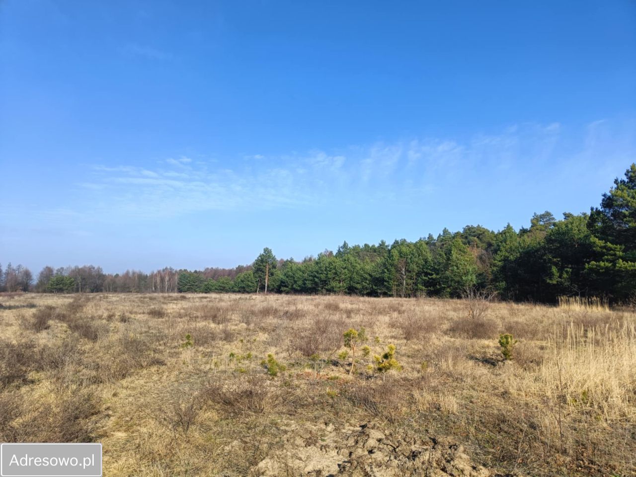 Działka rolna Olszewnica Nowa, ul. Spacerowa. Zdjęcie 6