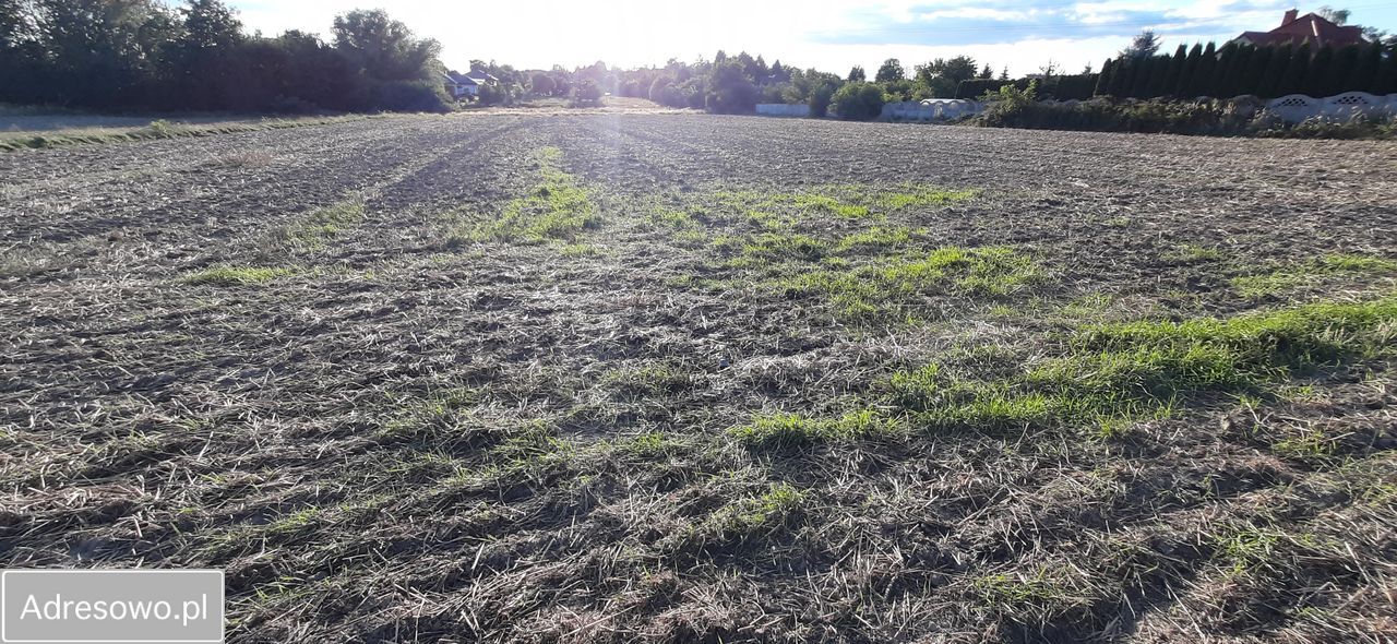 Działka budowlana Łódź Mileszki, ul. Bratkowa. Zdjęcie 5