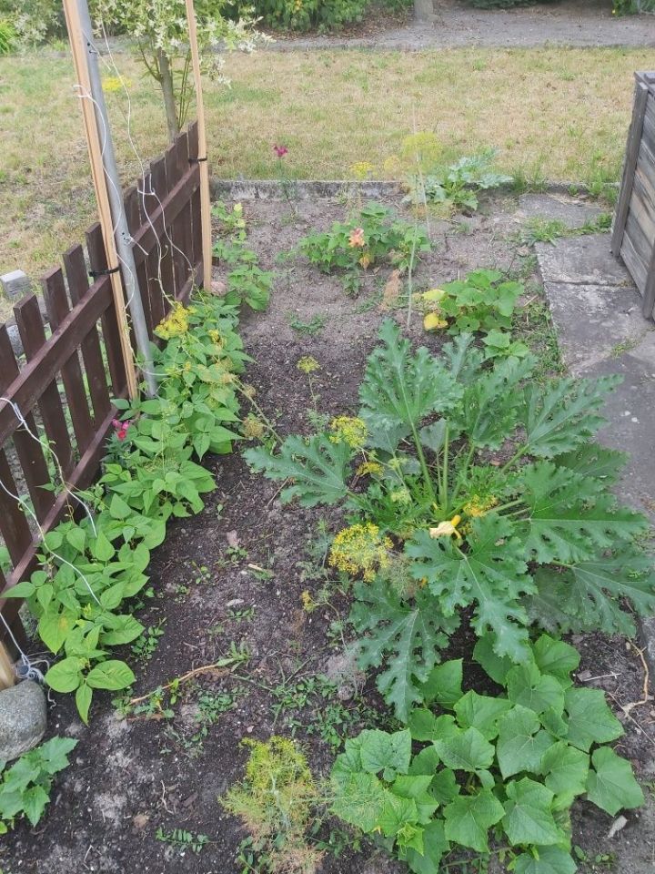 Działka rod Lublin. Zdjęcie 3