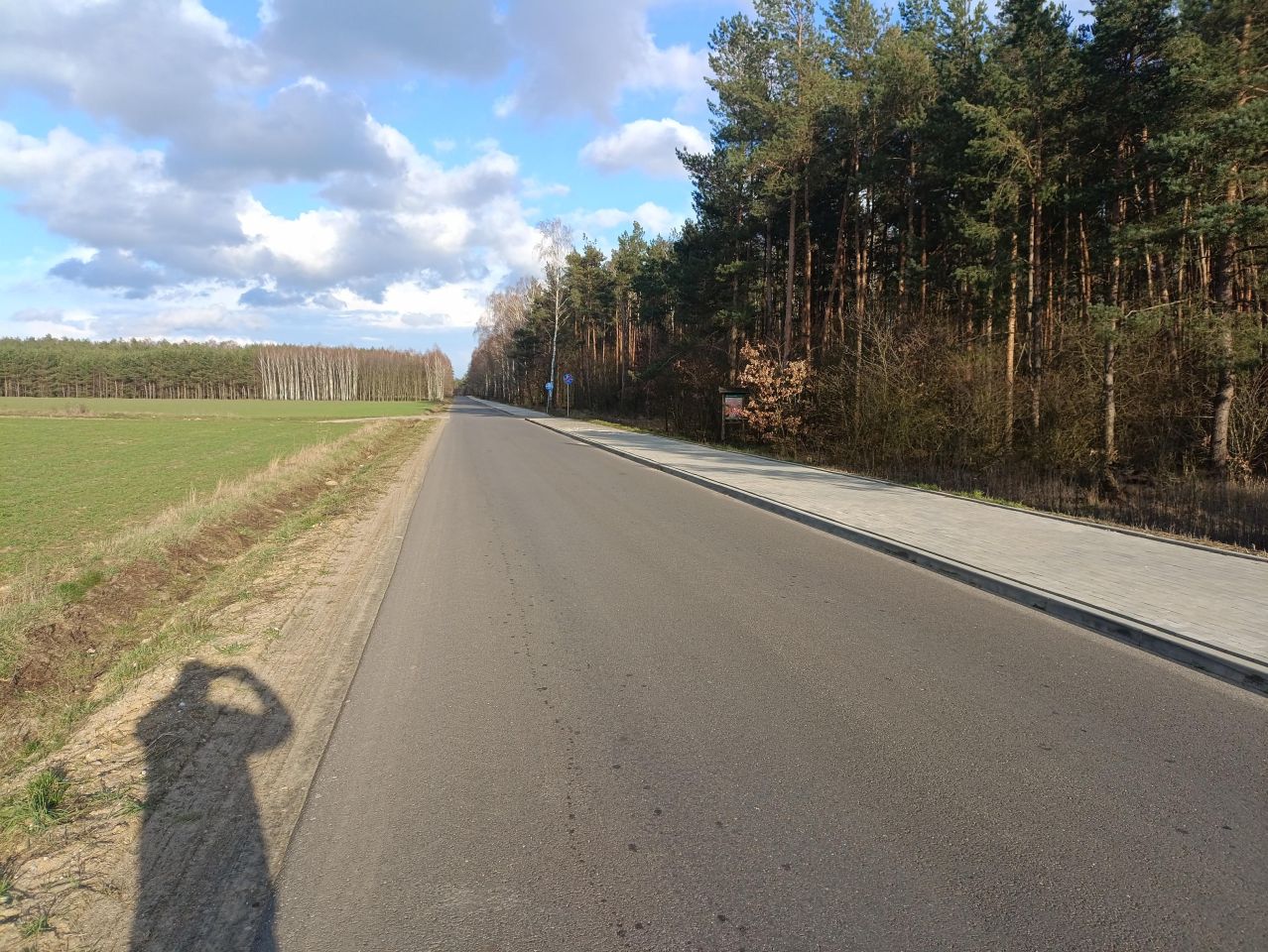 Działka rolna Lubowidz, ul. Leśna. Zdjęcie 3