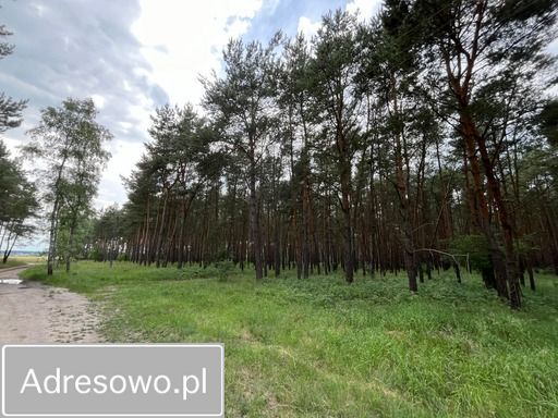 Działka Krosinko. Zdjęcie 8