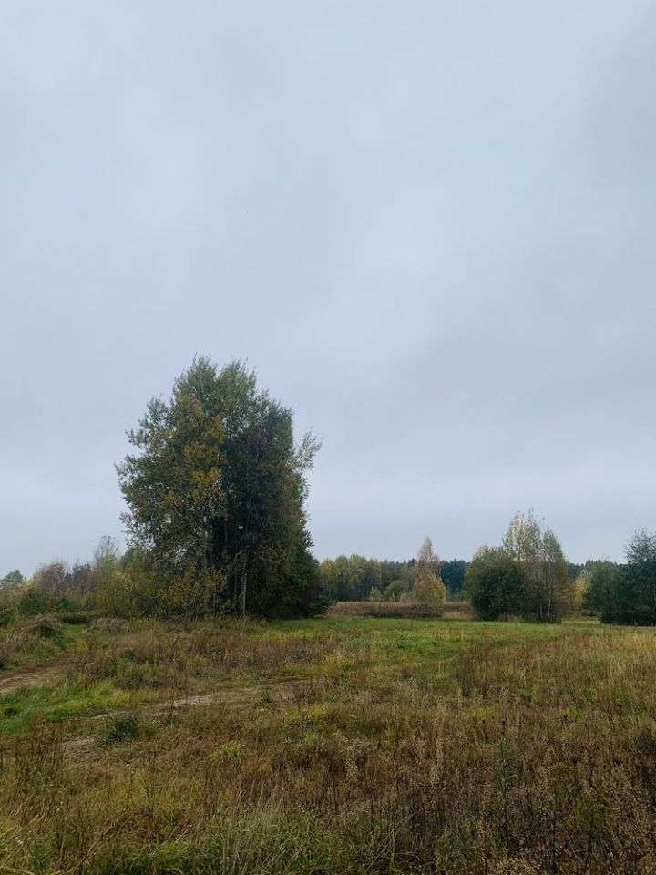 Działka inwestycyjna Baniocha Wilczynek, ul. Wspólna. Zdjęcie 7