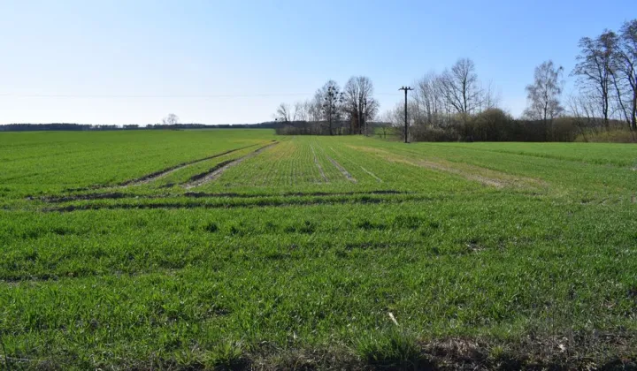 Działka budowlana Chmielinko