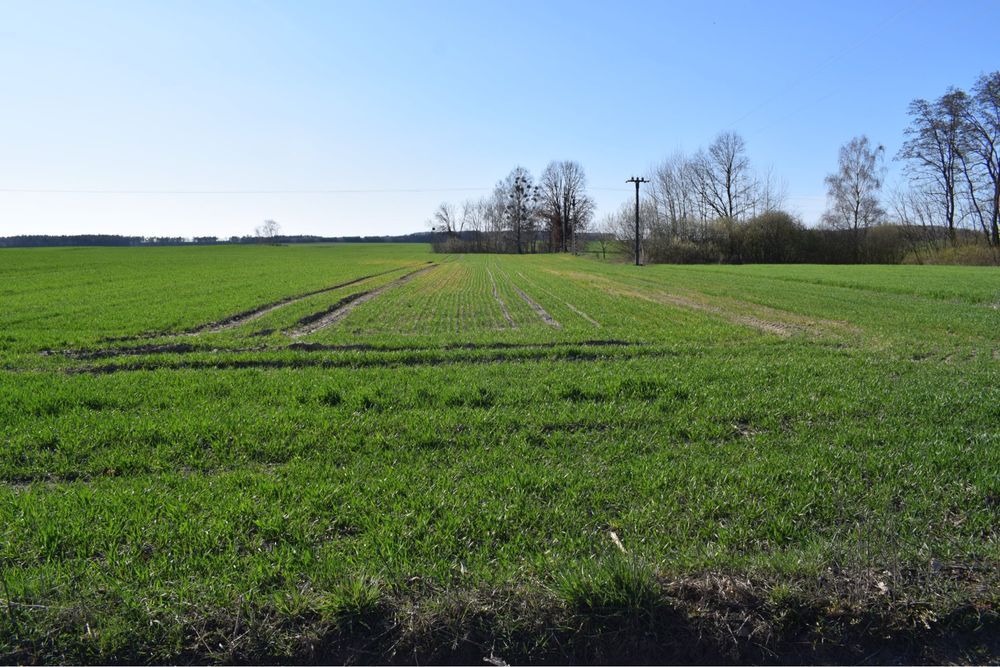 Działka budowlana Chmielinko