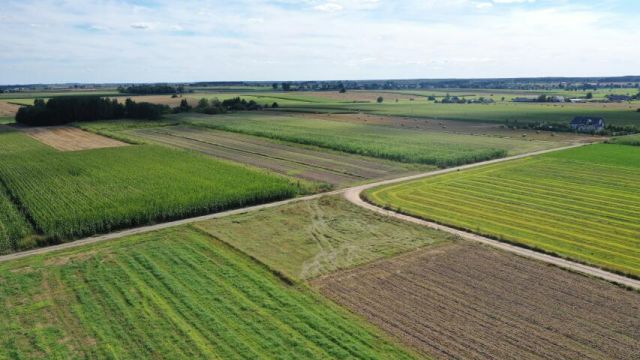 Działka budowlana Czerwone. Zdjęcie 5