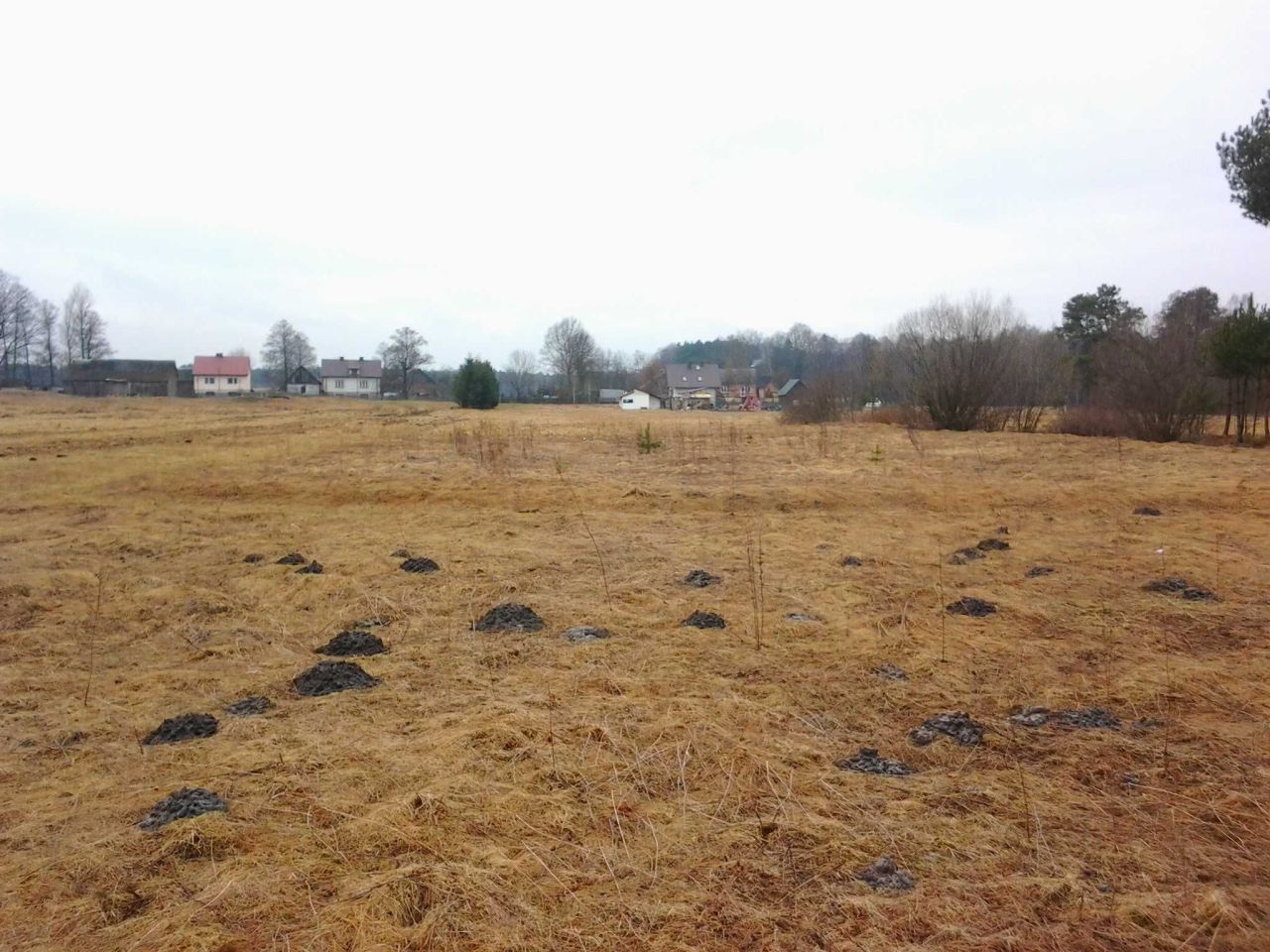 Działka rolno-budowlana Włoszczowa. Zdjęcie 4