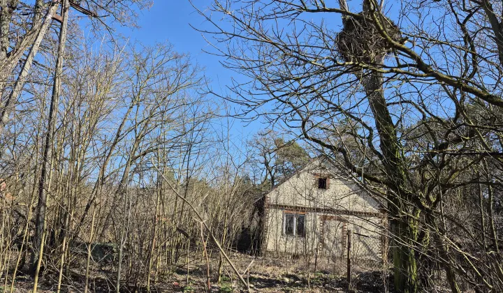 Działka siedliskowa Kuczki