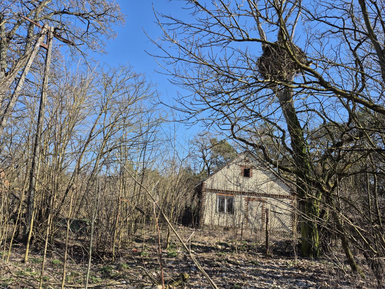 Działka siedliskowa Kuczki. Zdjęcie 1