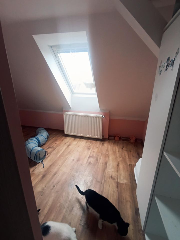 gospodarstwo, 5 pokoi Ciosna, Ciećmierz. Zdjęcie 10