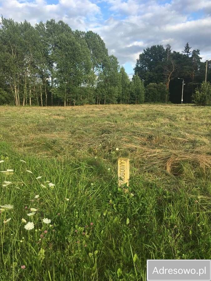 Działka inwestycyjna Rucianka. Zdjęcie 2