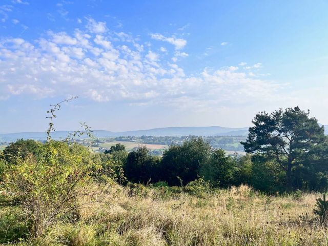 Działka rekreacyjna Dobrociesz. Zdjęcie 1