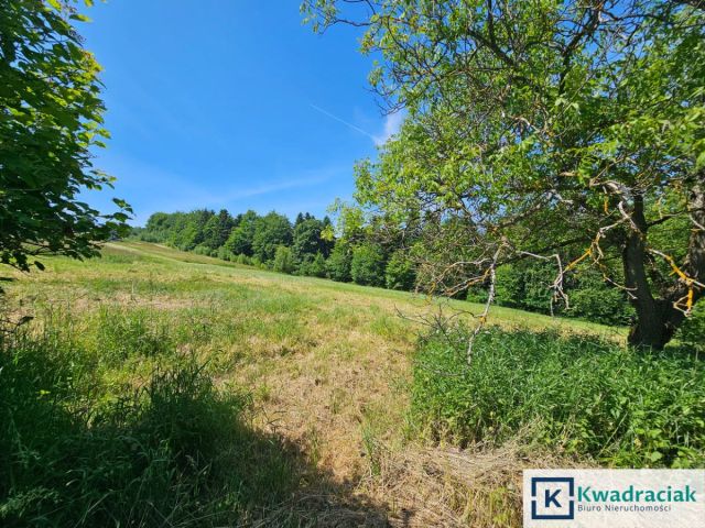 Działka budowlana Czarnorzeki. Zdjęcie 5