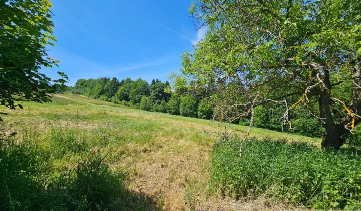 Działka inwestycyjna Czarnorzeki