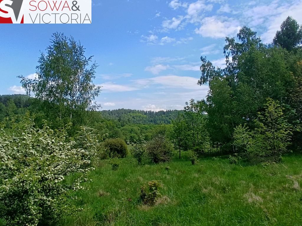 Działka budowlana Jedlina-Zdrój Kamieńsk. Zdjęcie 2