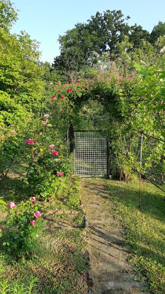 Działka rod Zielona Góra Centrum, ul. Andrzeja Struga. Zdjęcie 15