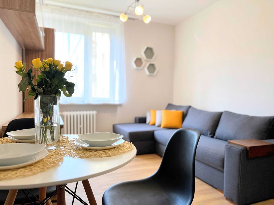 Mieszkanie 1-pokojowe Częstochowa Raków, ul. Próchnika