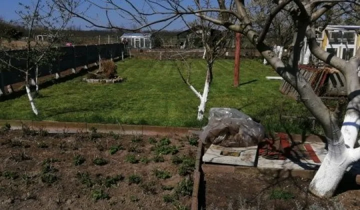 Działka rekreacyjna Czerwieńsk