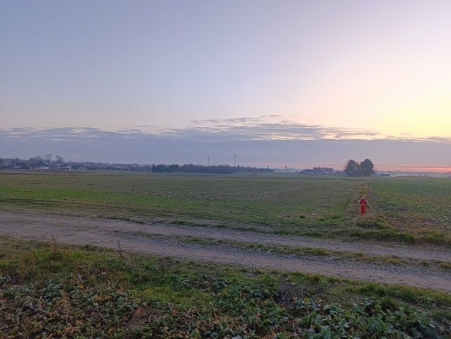 Działka rolno-budowlana Niedrzwica Duża, ul. Przechodnia. Zdjęcie 1