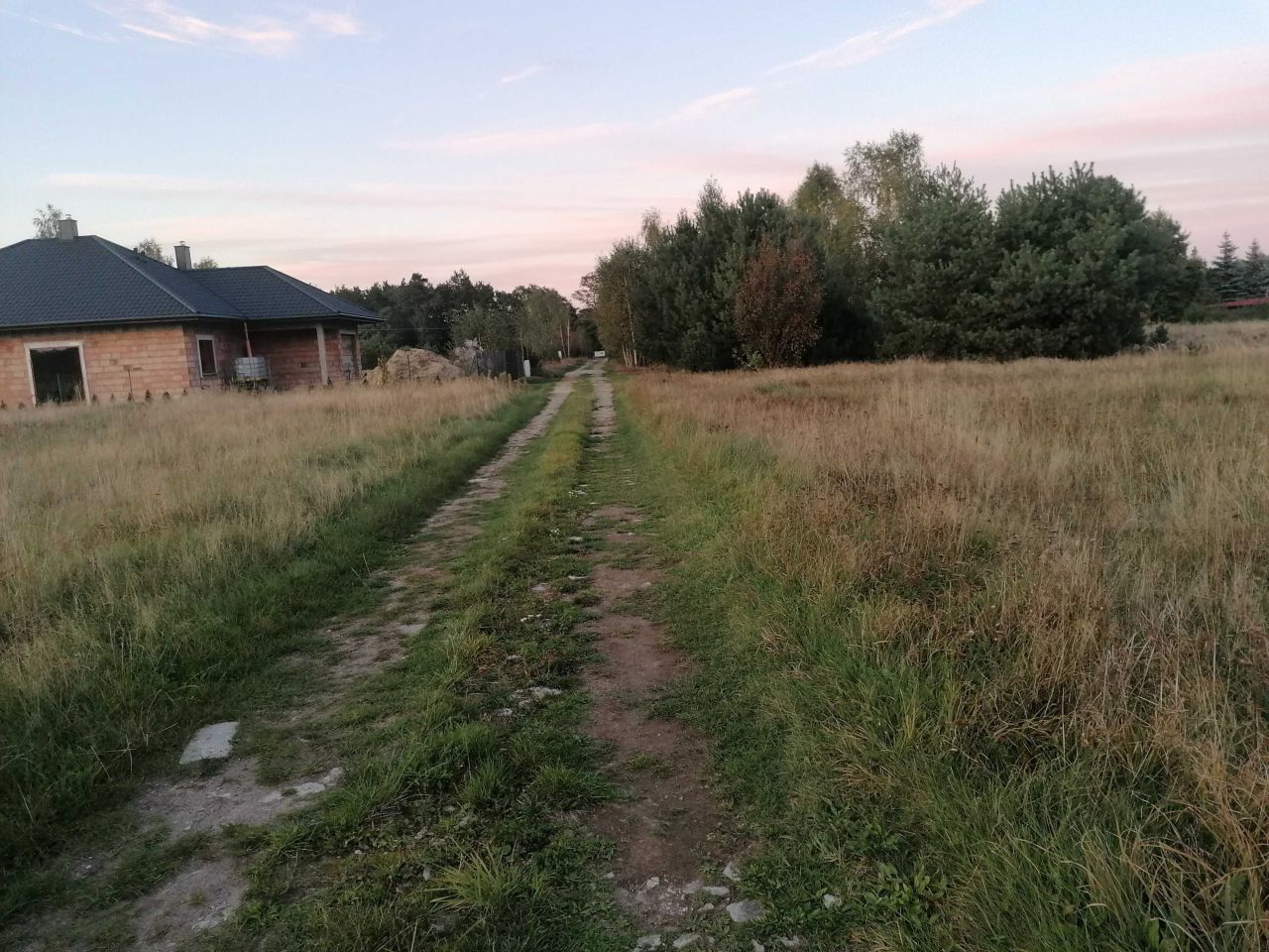 Działka budowlana Chojne. Zdjęcie 5