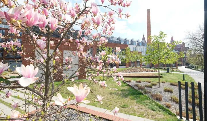 Mieszkanie 2-pokojowe Wrocław Śródmieście, pl. Jana Pawła II