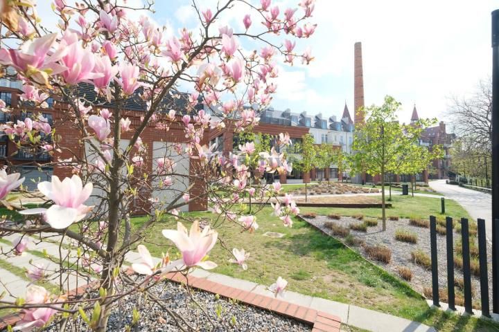 Mieszkanie 2-pokojowe Wrocław Stare Miasto, pl. Jana Pawła II. Zdjęcie 1