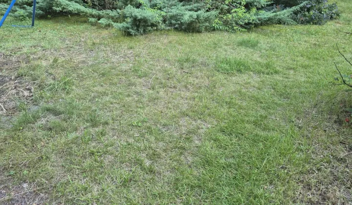 Działka budowlana Pruszków, ul. Wysoka