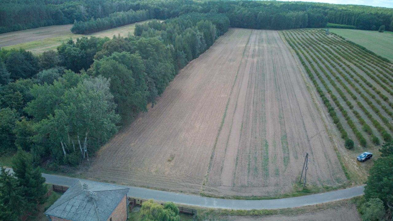 Działka Kalenice. Zdjęcie 2