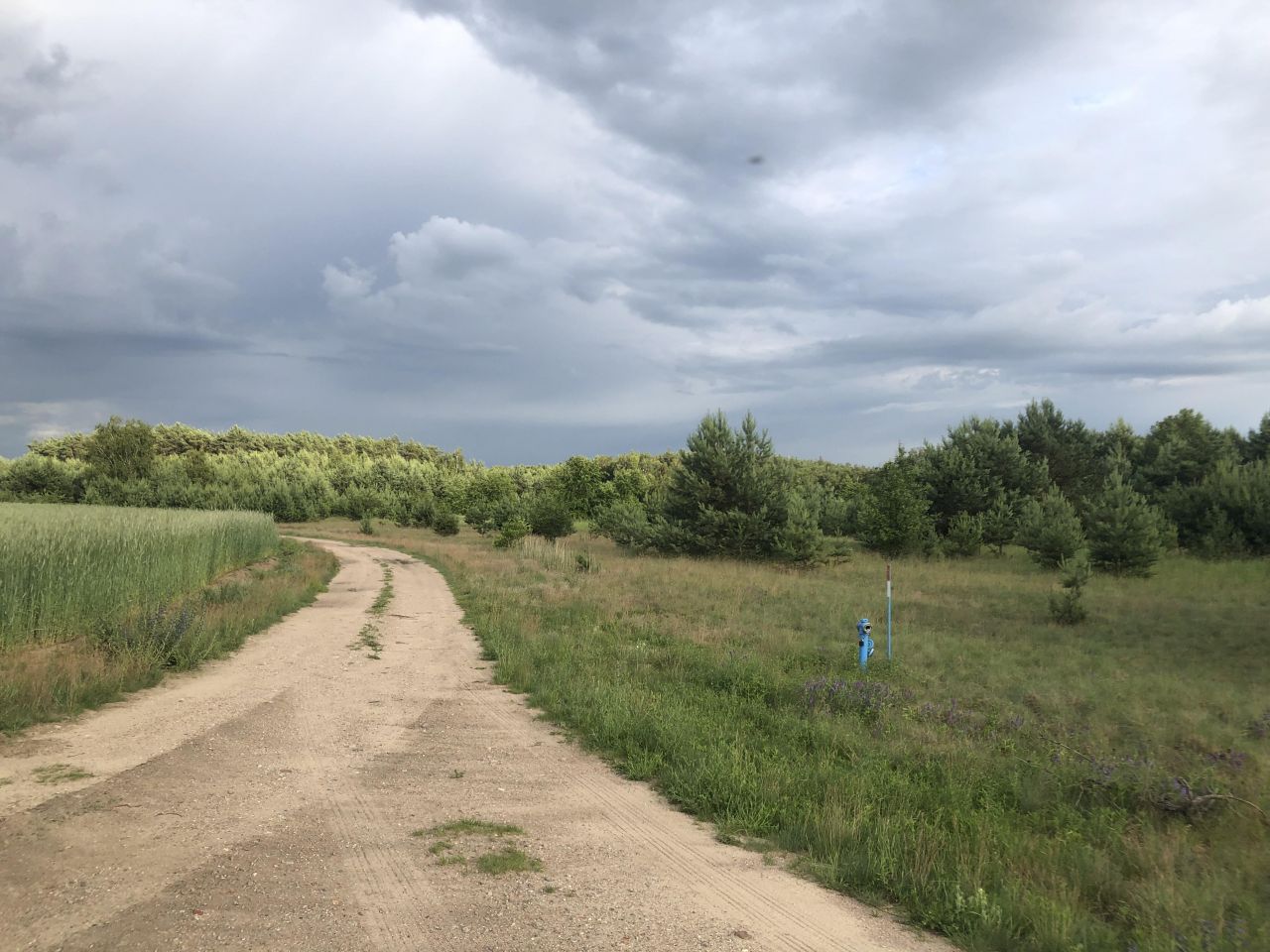 Działka budowlana Kolankowo, ul. Sielanka. Zdjęcie 4