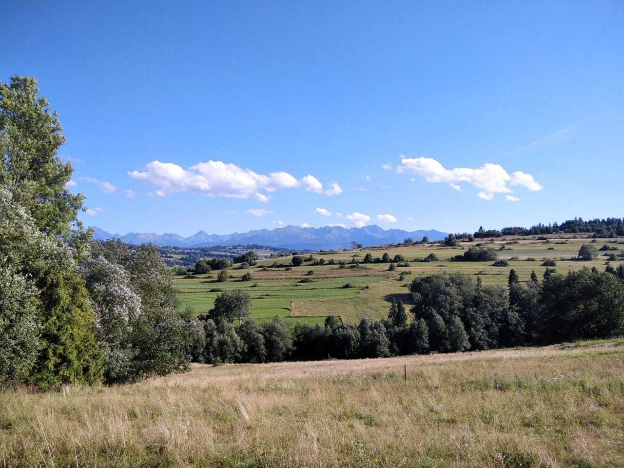 Działka budowlana Biały Dunajec. Zdjęcie 1