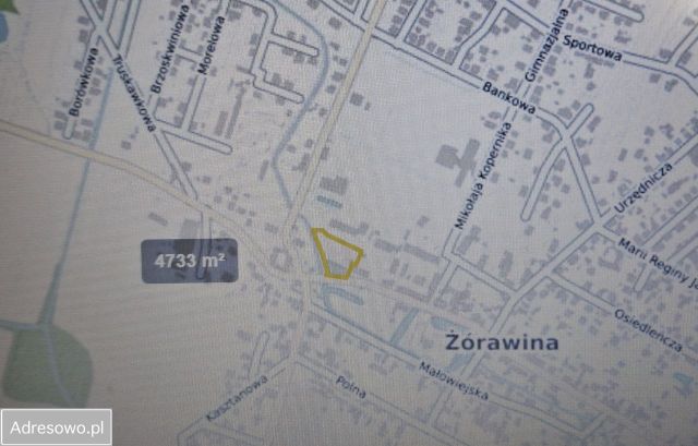 Działka Żórawina. Zdjęcie 1