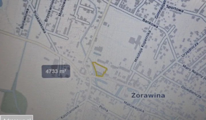 Działka Żórawina