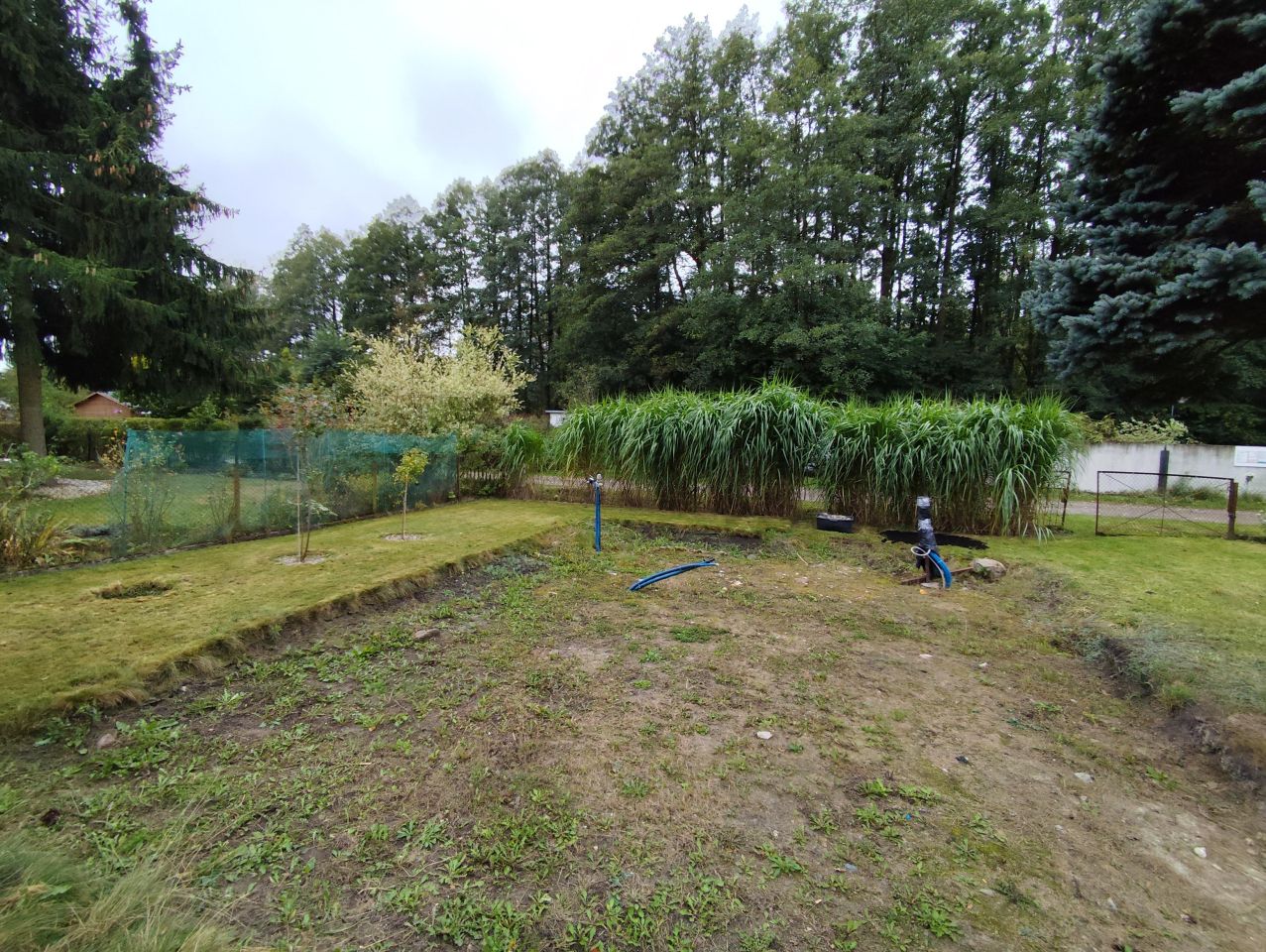 Działka rod Przypki, ul. Kościelna. Zdjęcie 10