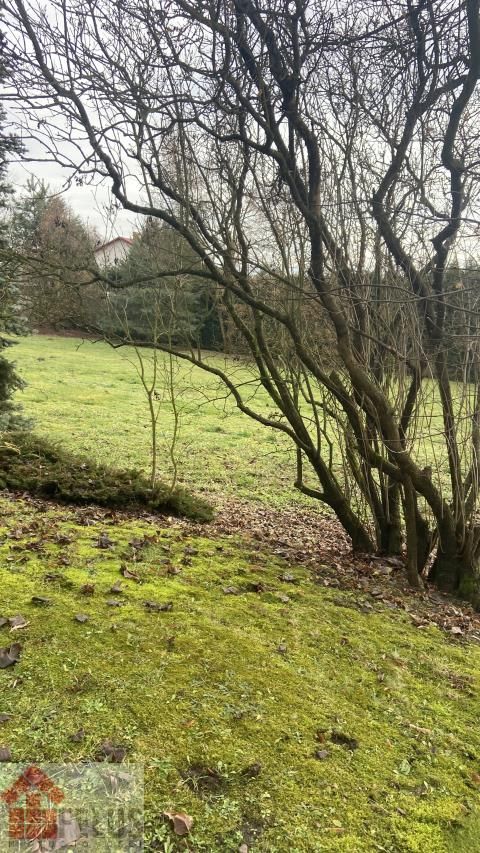 Działka budowlana Czernichów. Zdjęcie 5