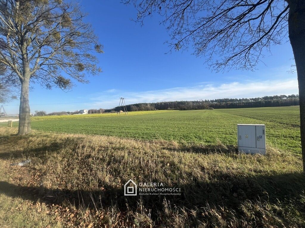 Działka inwestycyjna Bolechowo. Zdjęcie 3