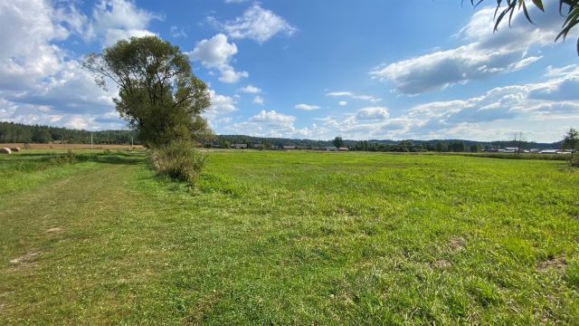 Działka rolna Kołodno. Zdjęcie 15