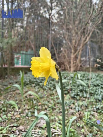 Mieszkanie 3-pokojowe Warszawa Mokotów, ul. Etiudy Rewolucyjnej. Zdjęcie 2