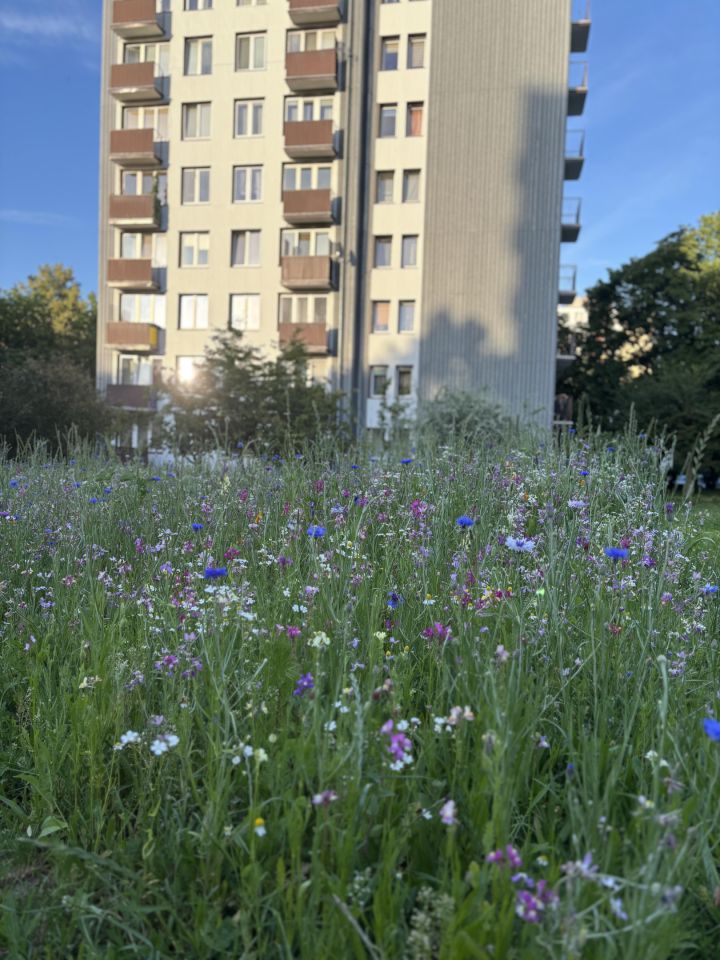 Mieszkanie 3-pokojowe Lublin LSM. Zdjęcie 13