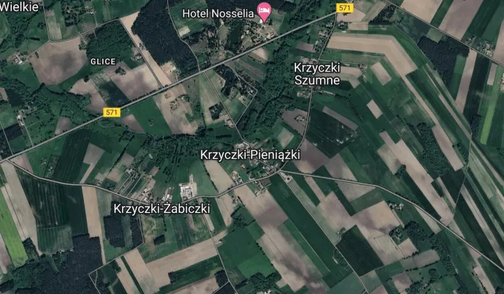 Działka siedliskowa Krzyczki-Pieniążki