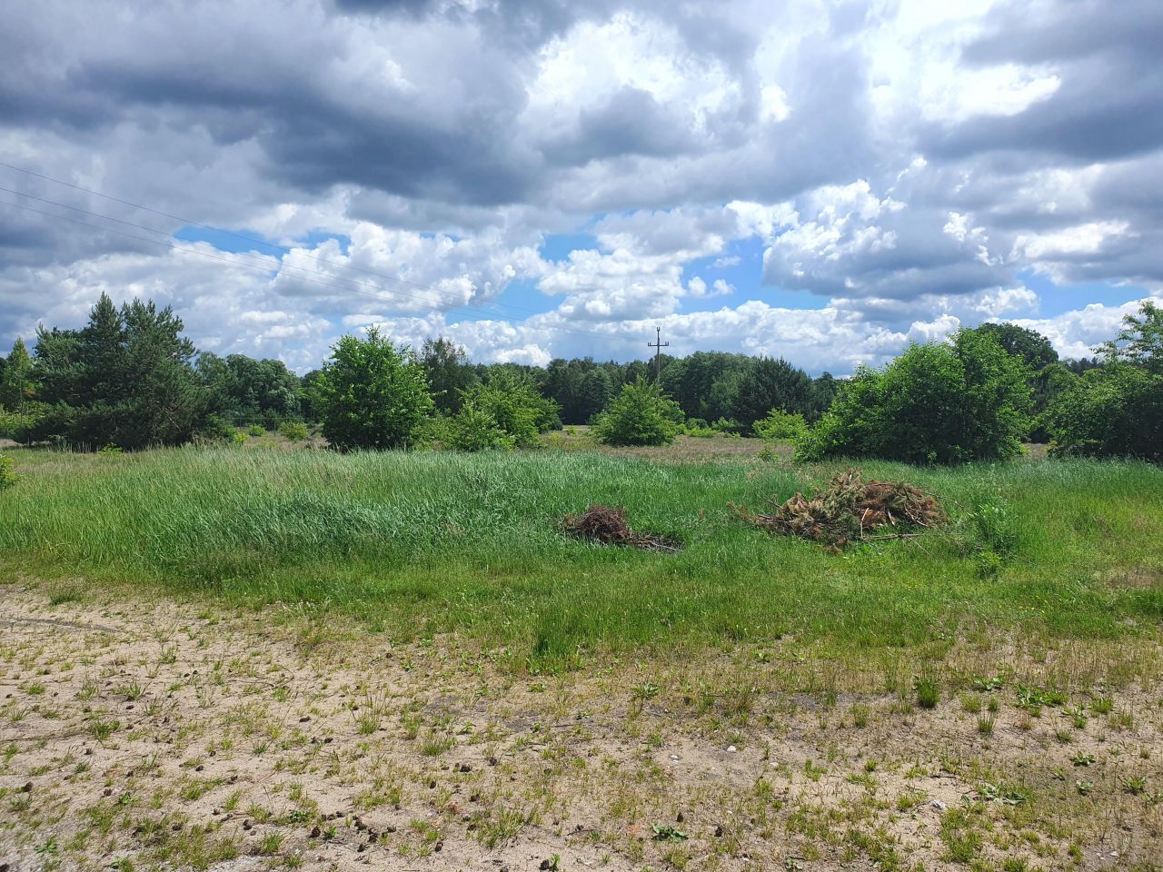 Działka budowlana Kępa Niemojewska. Zdjęcie 2