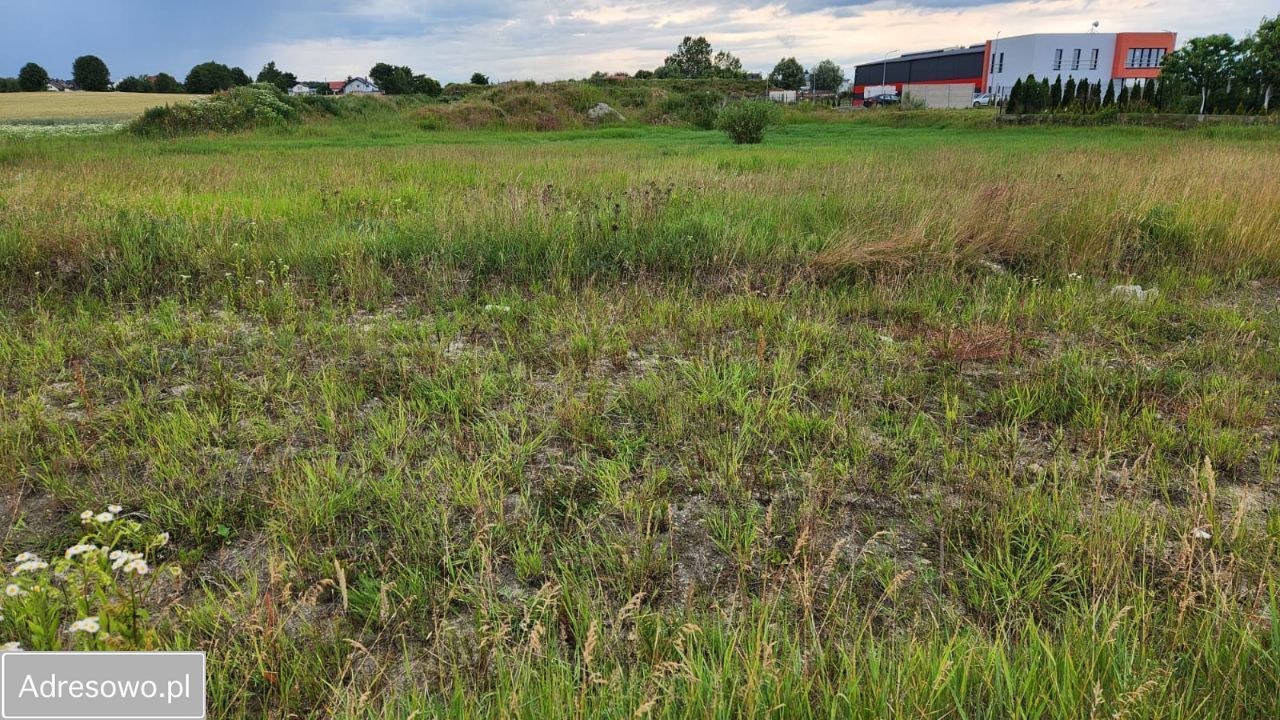 Działka inwestycyjna Rębiechowo. Zdjęcie 6
