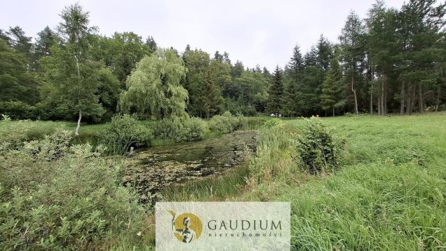 Działka budowlana Pomlewo. Zdjęcie 13