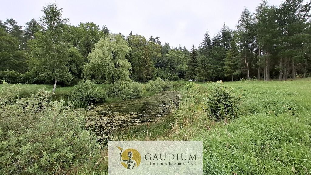Działka budowlana Pomlewo. Zdjęcie 13