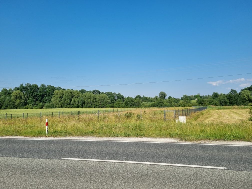 Działka budowlana Stary Waliszów. Zdjęcie 4