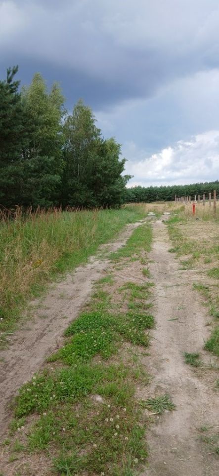 Działka budowlana Jadwinów. Zdjęcie 7