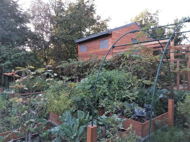 Działka rekreacyjna Kraków Wola Justowska, ul. Pylna. Zdjęcie 1