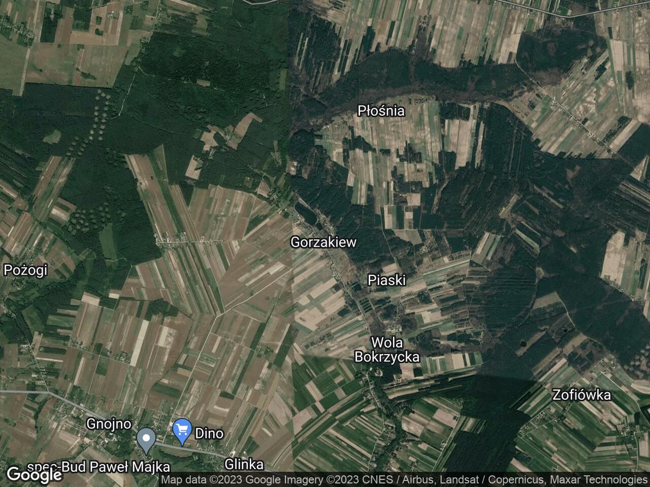 Działka leśna Gorzakiew. Zdjęcie 1