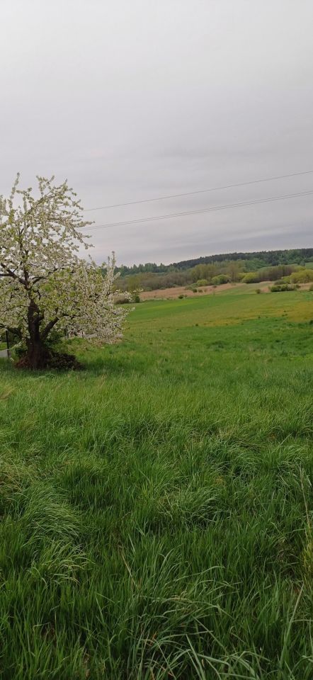 Działka budowlana Mikułowice. Zdjęcie 9