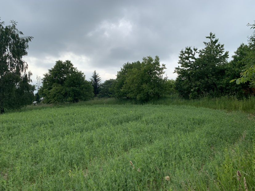 Działka rolno-budowlana Majdan Górny Majdan Górny Pierwszy. Zdjęcie 3